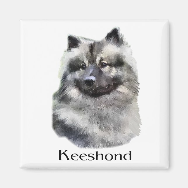 Aimant Cadeaux d'art Keeshond (Devant)