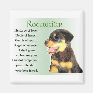 Aimant Cadeaux d'art Rottweiler