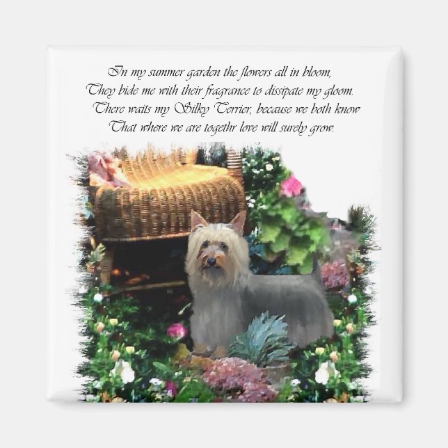 Aimant Cadeaux d'art Silky Terrier (Devant)