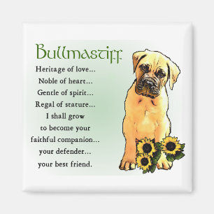 Aimant Cadeaux de Bullmastiff