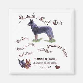 Aimant Cadeaux de chien de bétail australien