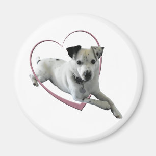Aimant Cadeaux de chien de Jack Russell d'amour