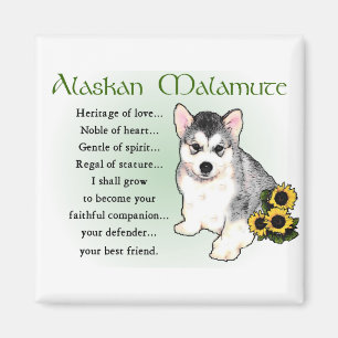 Aimant Cadeaux de Malamute d'Alaska