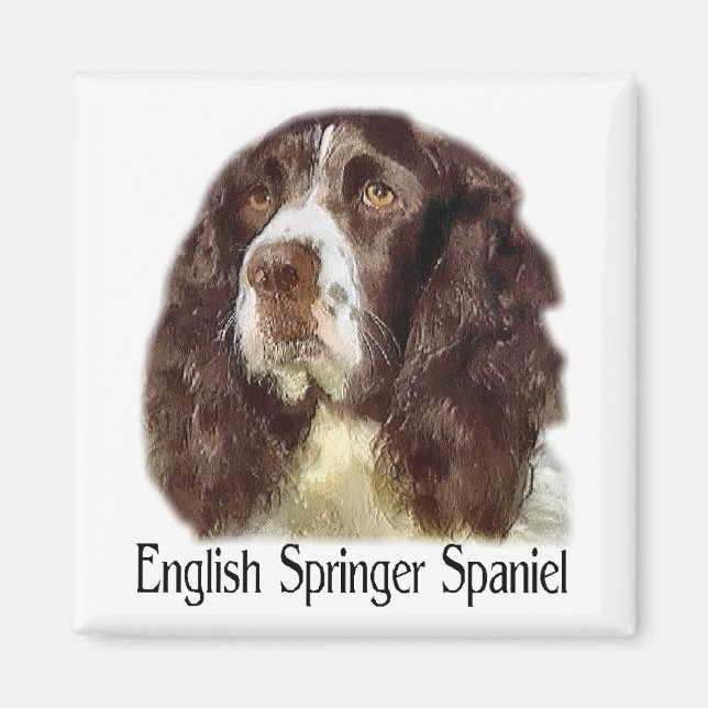 Aimant Cadeaux d'English Springer Spaniel (Devant)