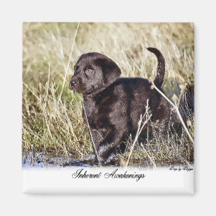 Aimant Cadeaux du Labrador Retriever