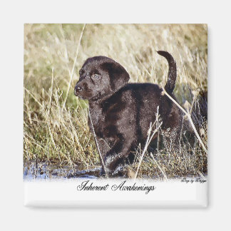Aimant Cadeaux du Labrador Retriever