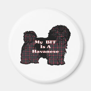 Aimant Cadeaux HAVANESE BFF