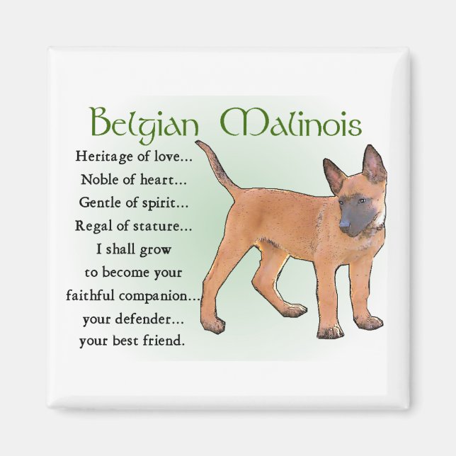 Aimant Cadeaux Malinois belges (Devant)