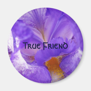 Aimant Cadeaux pourpres d'aimant de fleur d'iris d'aimant