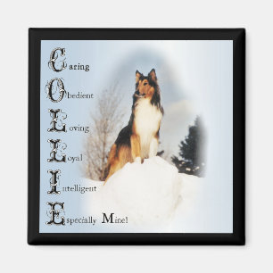 Aimant Cadeaux Sable Rough Collie
