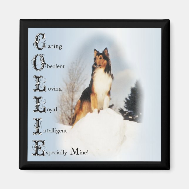Aimant Cadeaux Sable Rough Collie (Devant)