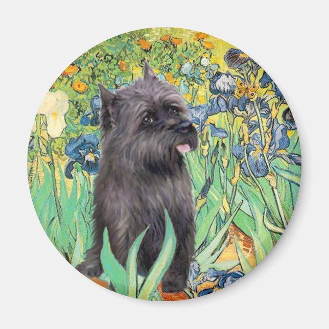 Aimant Cairn (Bigle 17) - Iris (Devant)