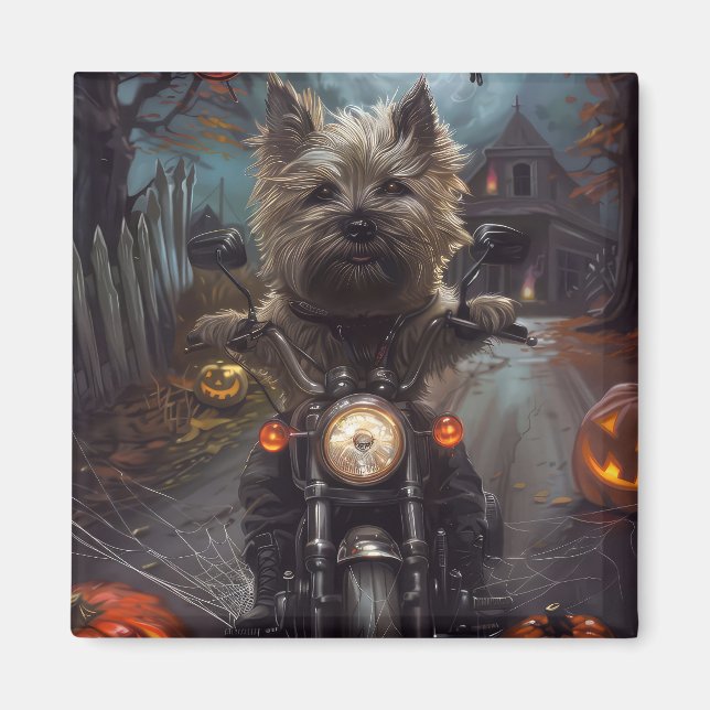 Aimant Cairn Terrier à moto Halloween effrayant (Devant)