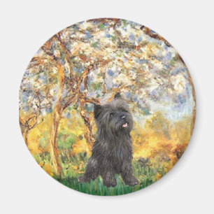 Aimant Cairn Terrier (Bringé 21) - Printemps