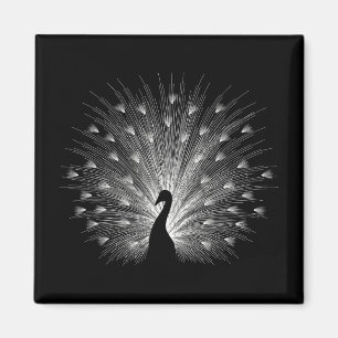 Aimant Calcaire blanc