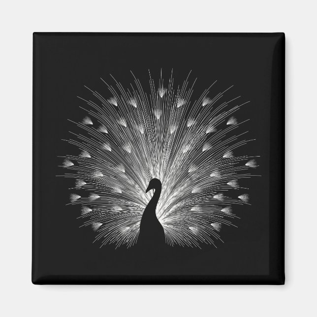 Aimant Calcaire blanc (Devant)