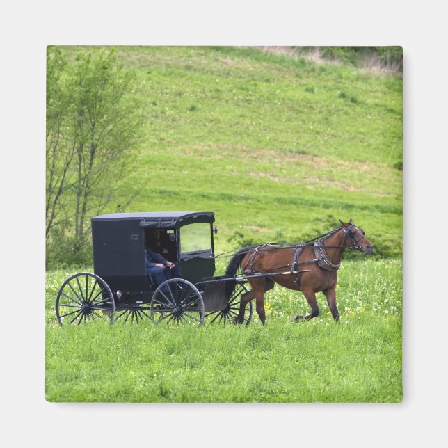 Aimant Calèche et cheval amish près de Berlin, Ohio. (Devant)