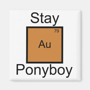 Aimant Calembour d'élément de Ponyboy d'or de séjour