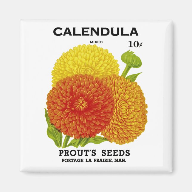 Aimant Calendula Vintage Seed Packet (Devant)