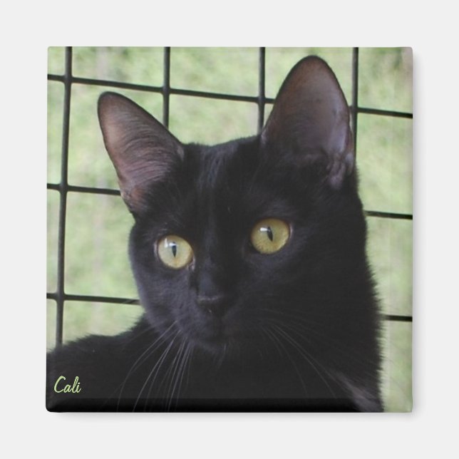 Aimant Cali (Devant)