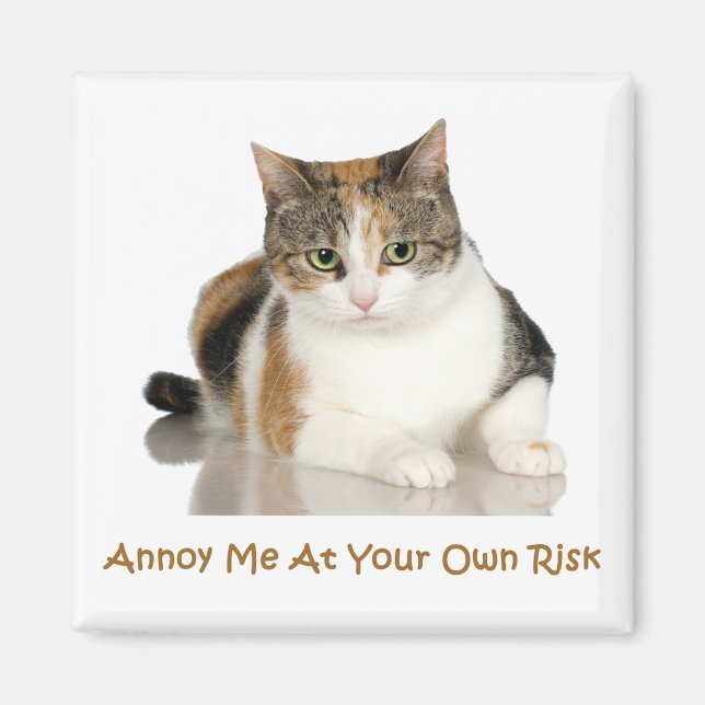Aimant Calico Chat : Annois-Moi À Vos Propres Risques (Devant)