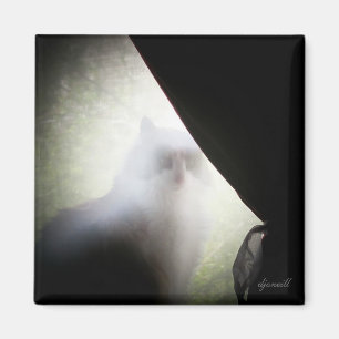 Aimant Calico Ghost Chat par djoneill