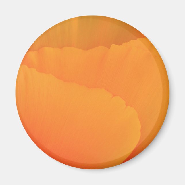 Aimant California Poppy (Devant)