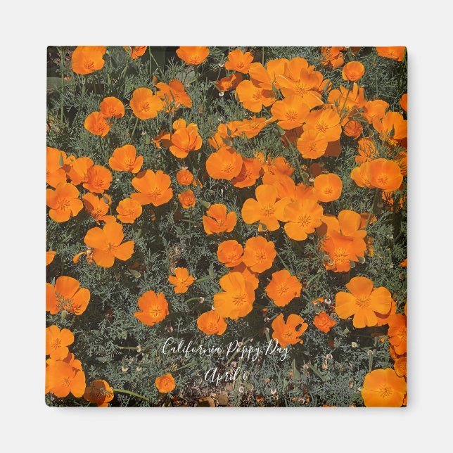 Aimant California Poppy Day (Devant)
