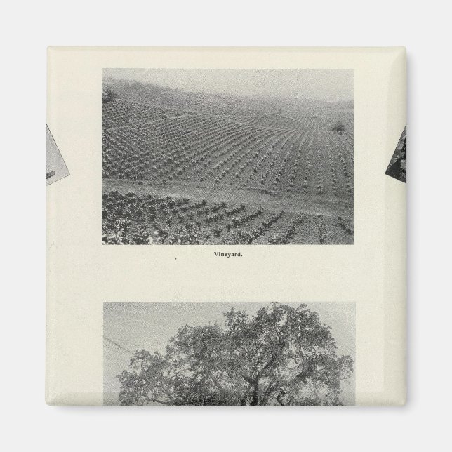 Aimant Californie 4 (Devant)