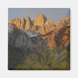 Aimant Californie, mont Whitney, forêt nationale d'Inyo 3