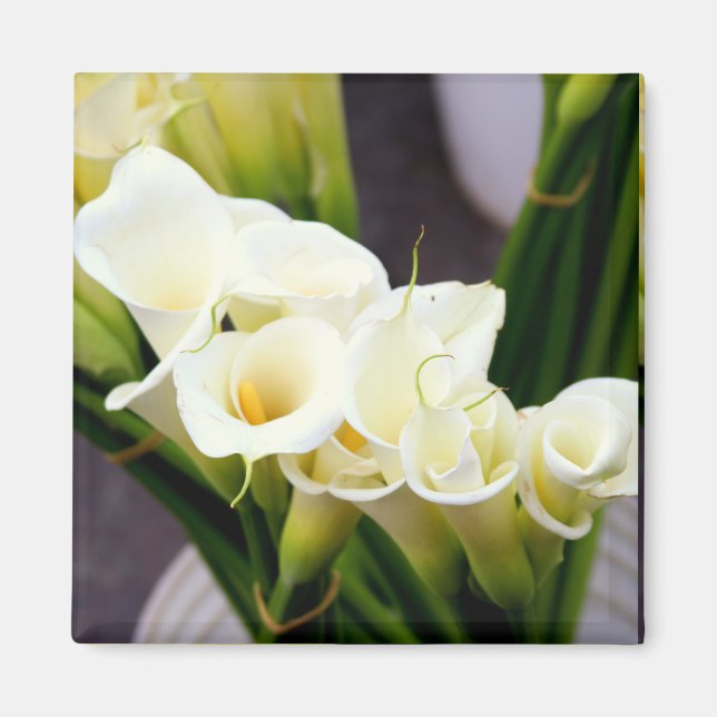 aimant calla lily (Devant)
