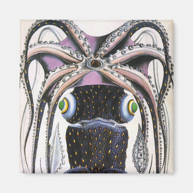 Aimant Calmar géant ou Pieuvre, Animaux de la Vie Marine  (Devant)