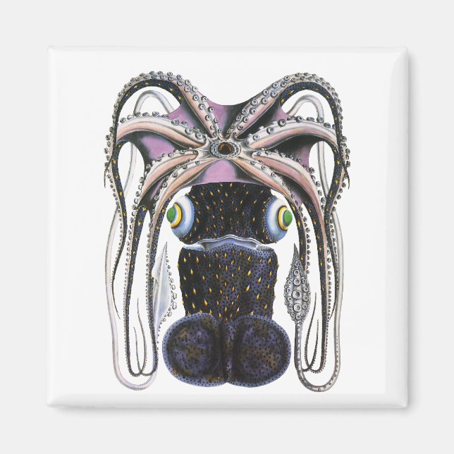 Aimant Calmar géant vintage ou poulpe, animal marin (Devant)