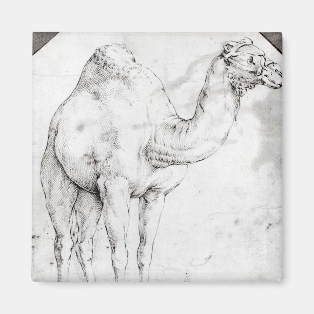 Aimant Camel (Devant)