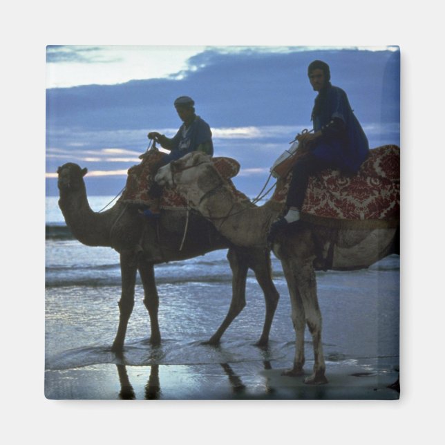 Aimant Camels, Maroc (Devant)