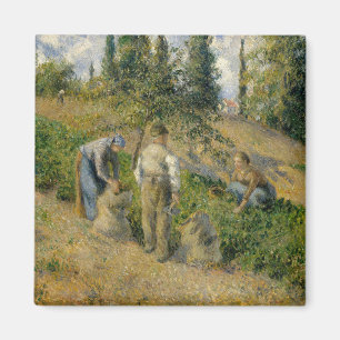 Aimant Camille Pissarro   la récolte, Pontoise