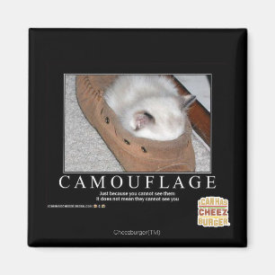 Aimant Camouflage