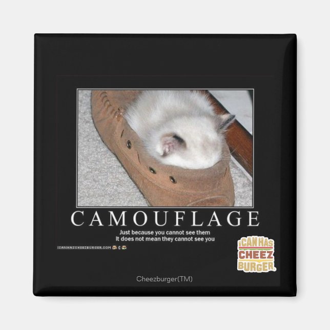 Aimant Camouflage (Devant)