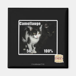 Aimant Camouflage