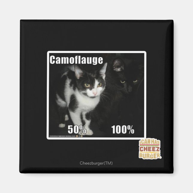 Aimant Camouflage (Devant)