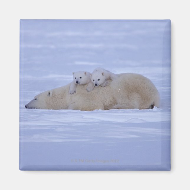 Aimant Canada (Devant)