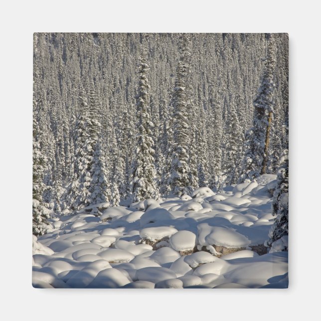 Aimant Canada, Alberta, parc national de Jasper. (Devant)