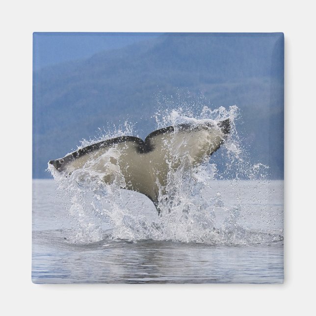 Aimant Canada, Colombie-Britannique, Île de Vancouver, (Devant)