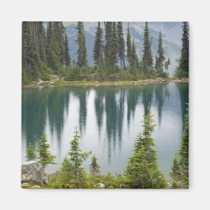 Aimant Canada, Colombie-Britannique, Revelstoke National