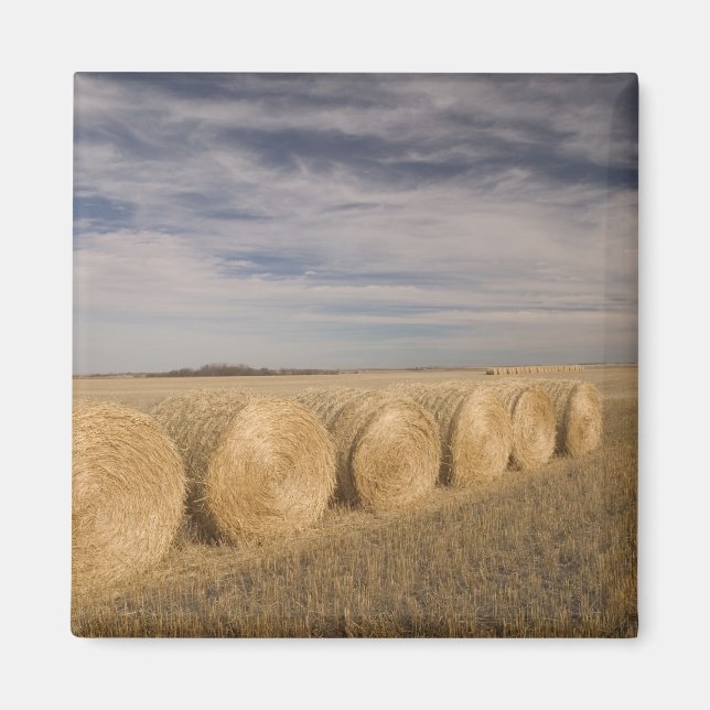 Aimant Canada, Saskatchewan, Craik : Roulements de foin / (Devant)