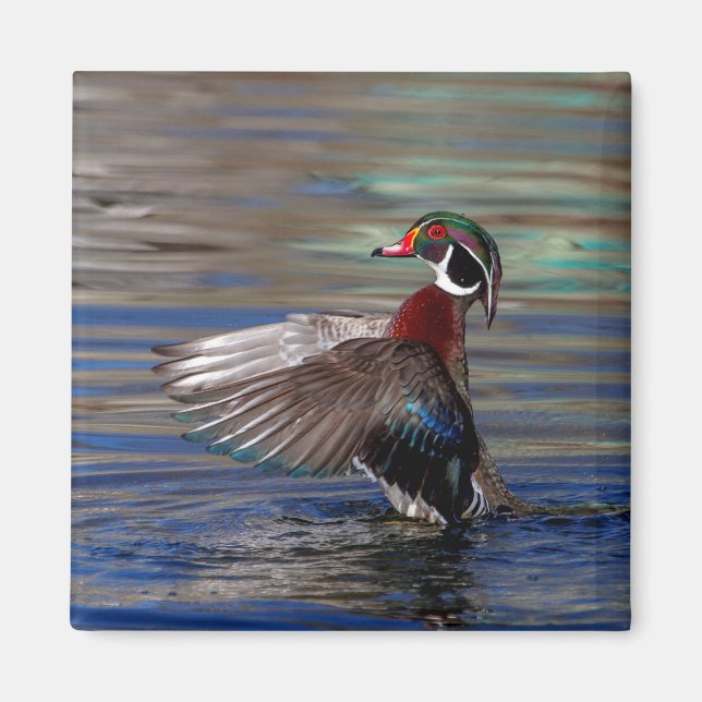 Aimant Canard à bois (Devant)