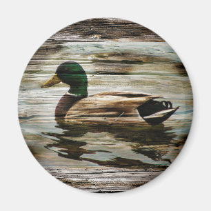 Aimant Canard colvert