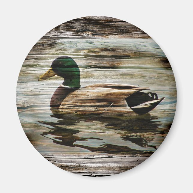 Aimant Canard colvert (Devant)