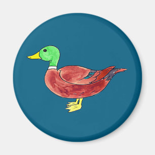 Aimant Canard colvert à tête verte aquarelle