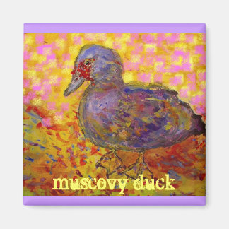 Aimant canard de muscovy